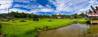 15 Rice paddies