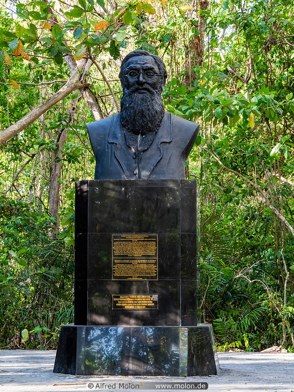 01 Alfred Russel Wallace statue