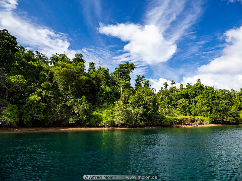 10 Rainforest on Gam island