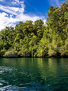 06 Rainforest on Gam island