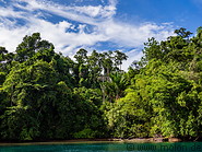 09 Rainforest on Gam island