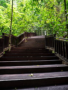 06 Wooden staircase to viewpoint