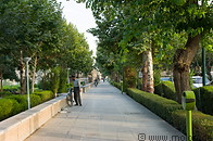 14 Tree lined pavement