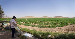 23 Water well and irrigated fields