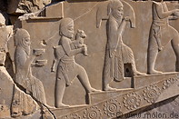 22 Palace of Darius basrelief
