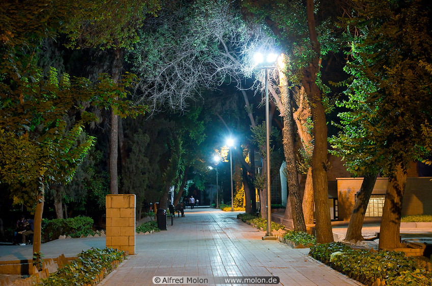 12 Shiraz park at night