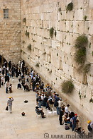 20 Jews praying along wall