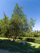 09 Boboli gardens