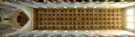 16 Cathedral roof