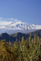 06 Reed bush and Mt Etna
