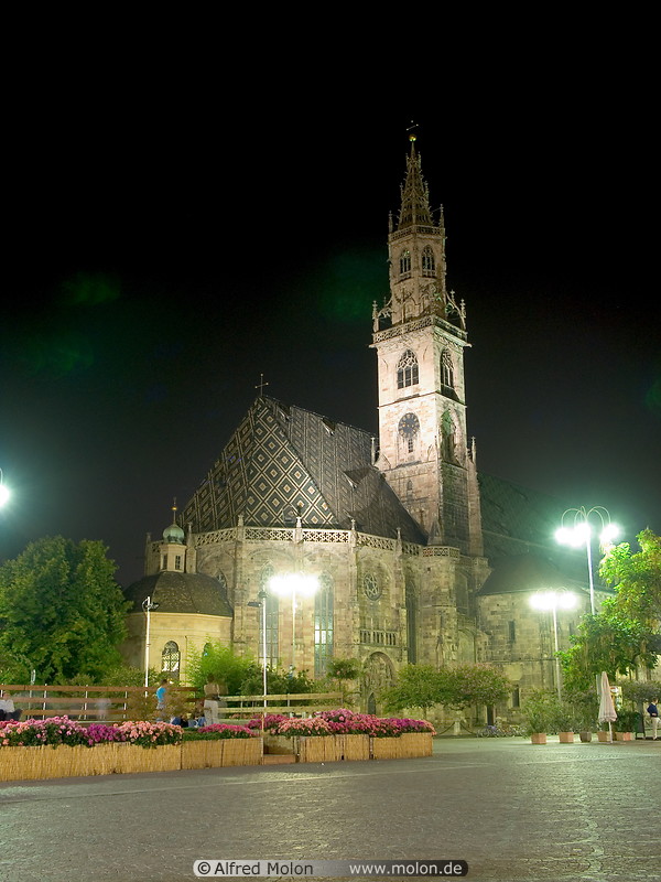 17 Night view of cathedral