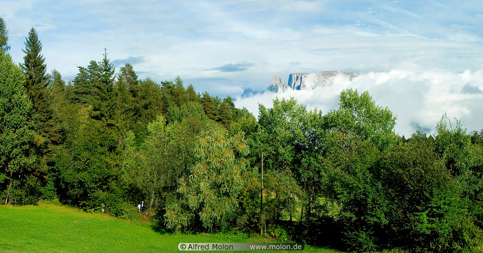 04 Panorama view with forest and Schlern mountain