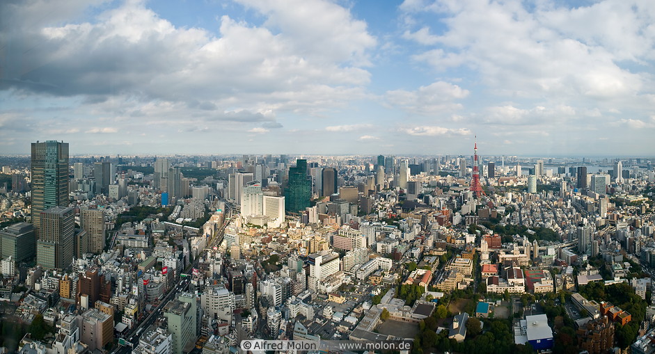 02 Skyline of central Tokyo