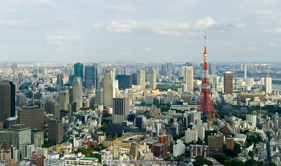 03 Skyline of central Tokyo