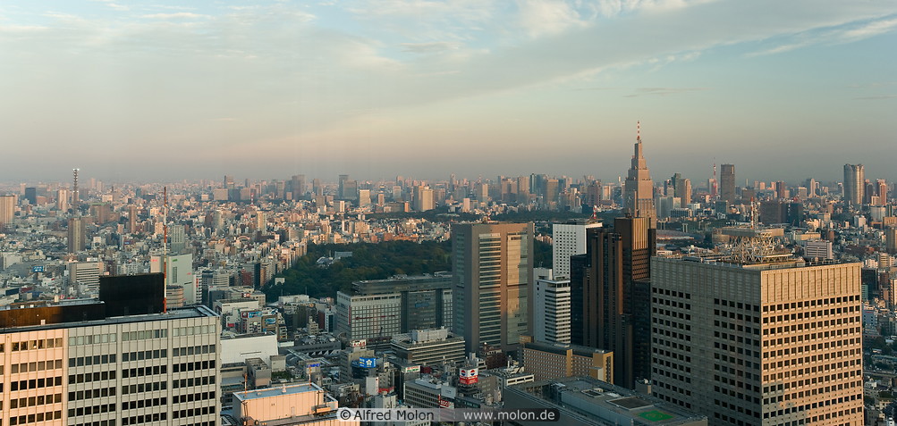12 Shinjuku skyline at sunset