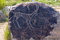 14 Petroglyphs hunting scene
