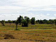 08 Dry rice fields