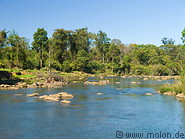 10 River and forest