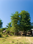 01 Village houses and trees