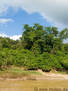 03 Riverbank and trees