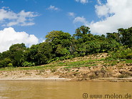 07 Riverbank and trees