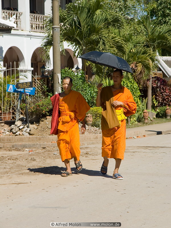 14 Buddhist monks walking with an umbrella