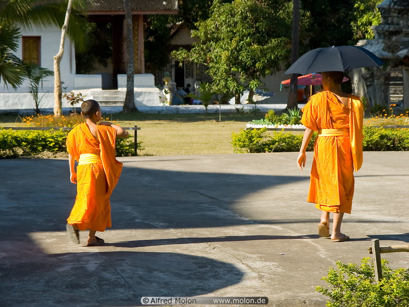 15 Buddhist monks walking with an umbrella