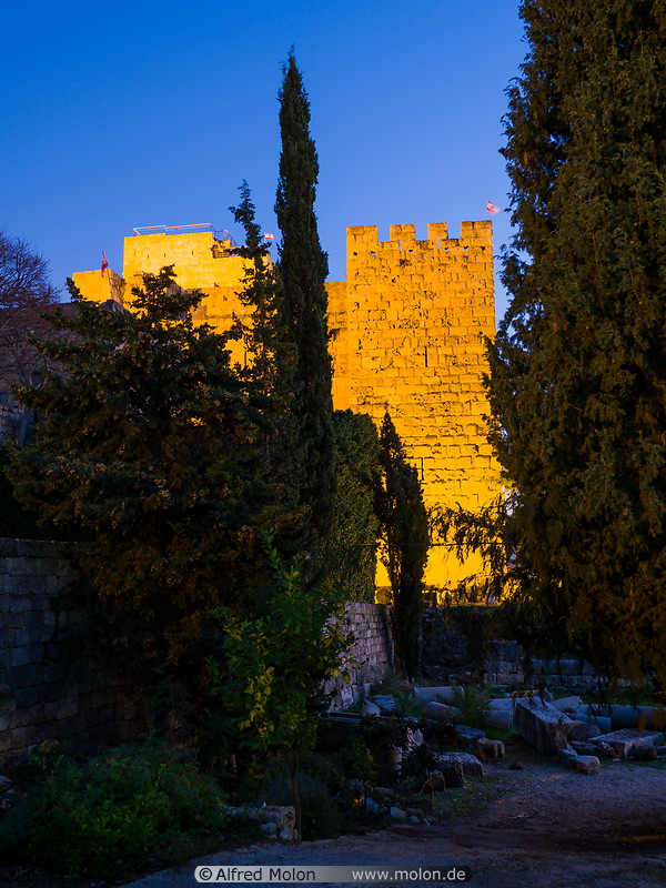 31 Crusader castle