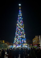 40 Christmas tree