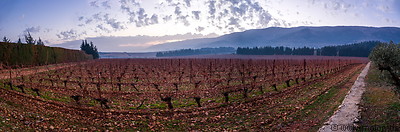Kefraya winery photo gallery  - 4 pictures of Kefraya winery