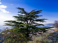 Shouf mountains photo gallery  - 19 pictures of Shouf mountains