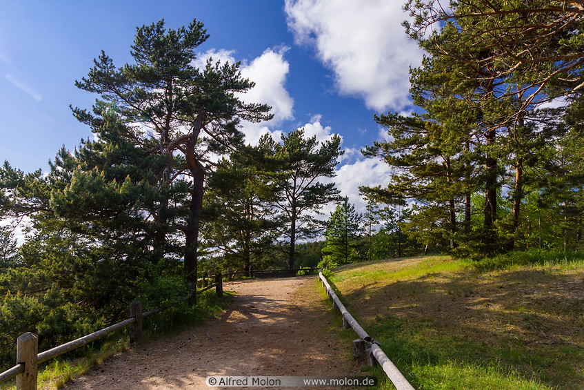 22 Trail on Curonian spit