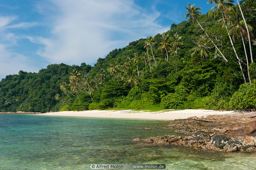 18 Beach with coconut palms