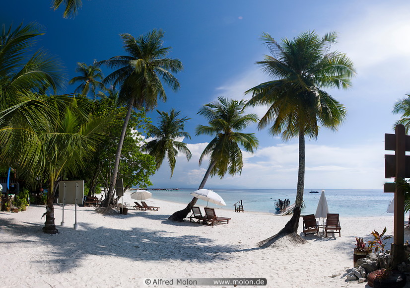 07 White coral sand beach with coconut palms
