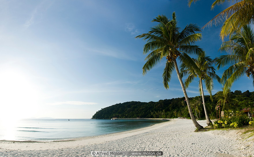 15 Beach with coconut palms