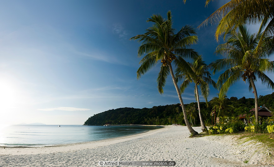 16 Beach with coconut palms