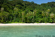 03 Beach with coconut palms