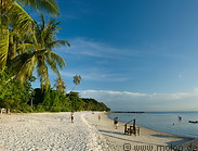 11 Beach with coconut palms