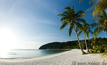 15 Beach with coconut palms