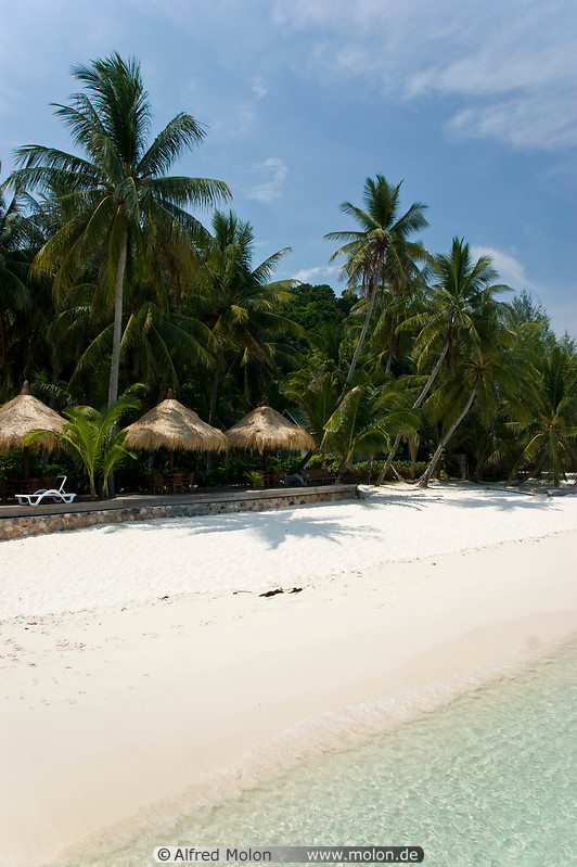 08 White coral sand beach with coconut trees
