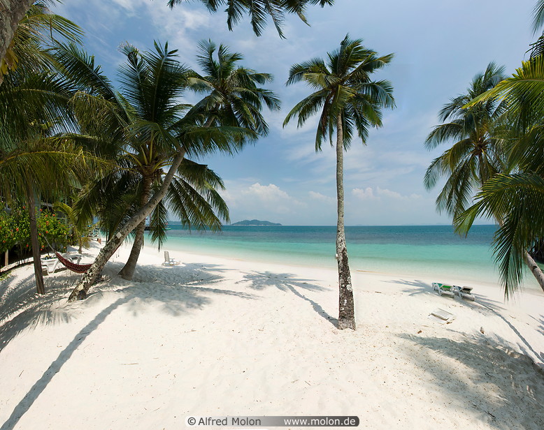 18 White coral sand beach with coconut trees