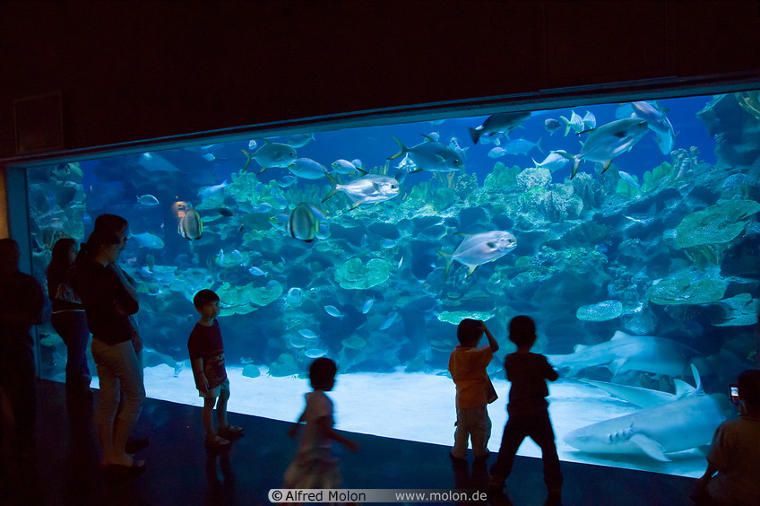 09 KL aquarium