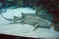 10 KL aquarium