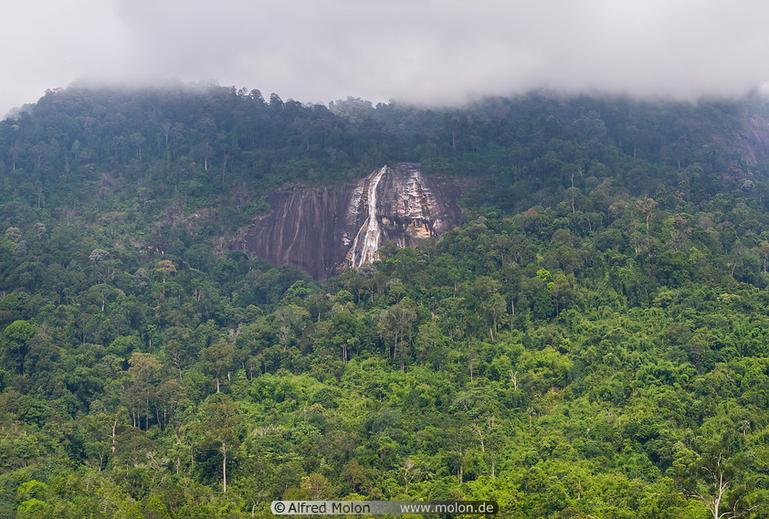 04 Jelawang waterfall and rainforest