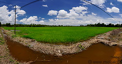 02 Irrigation channel and rice paddy