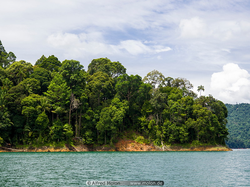 22 Tropical rainforest in Kenyir lake