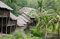 04 Rungus longhouse and coconut trees