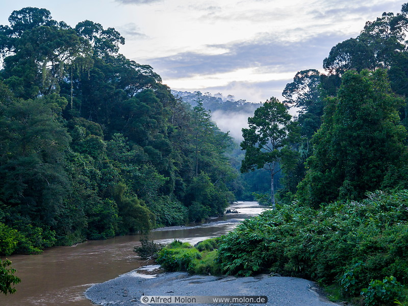 12 Segama river and rainforest