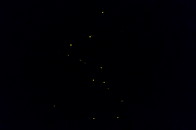 25 Fireflies