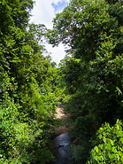 09 Forest stream